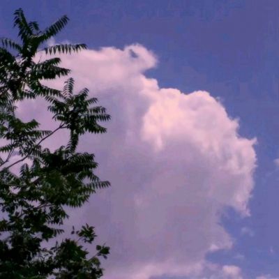 官人我要2游戏